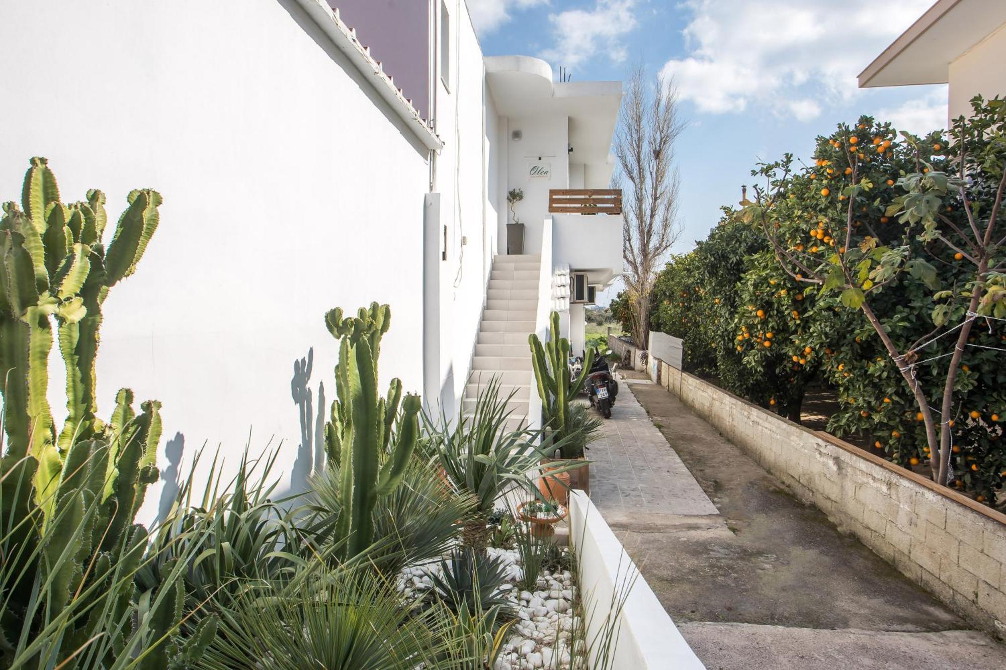 Olea Luxury Apartment Afandou Exterior foto